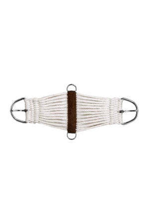 Equestrian bit with white bridoon and brown center on a white background