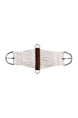 Equestrian bit with white bridoon and brown center on a white background