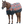 Horse wearing a colorful floral-patterned rug on a white background