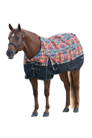 Horse wearing a colorful floral-patterned rug on a white background