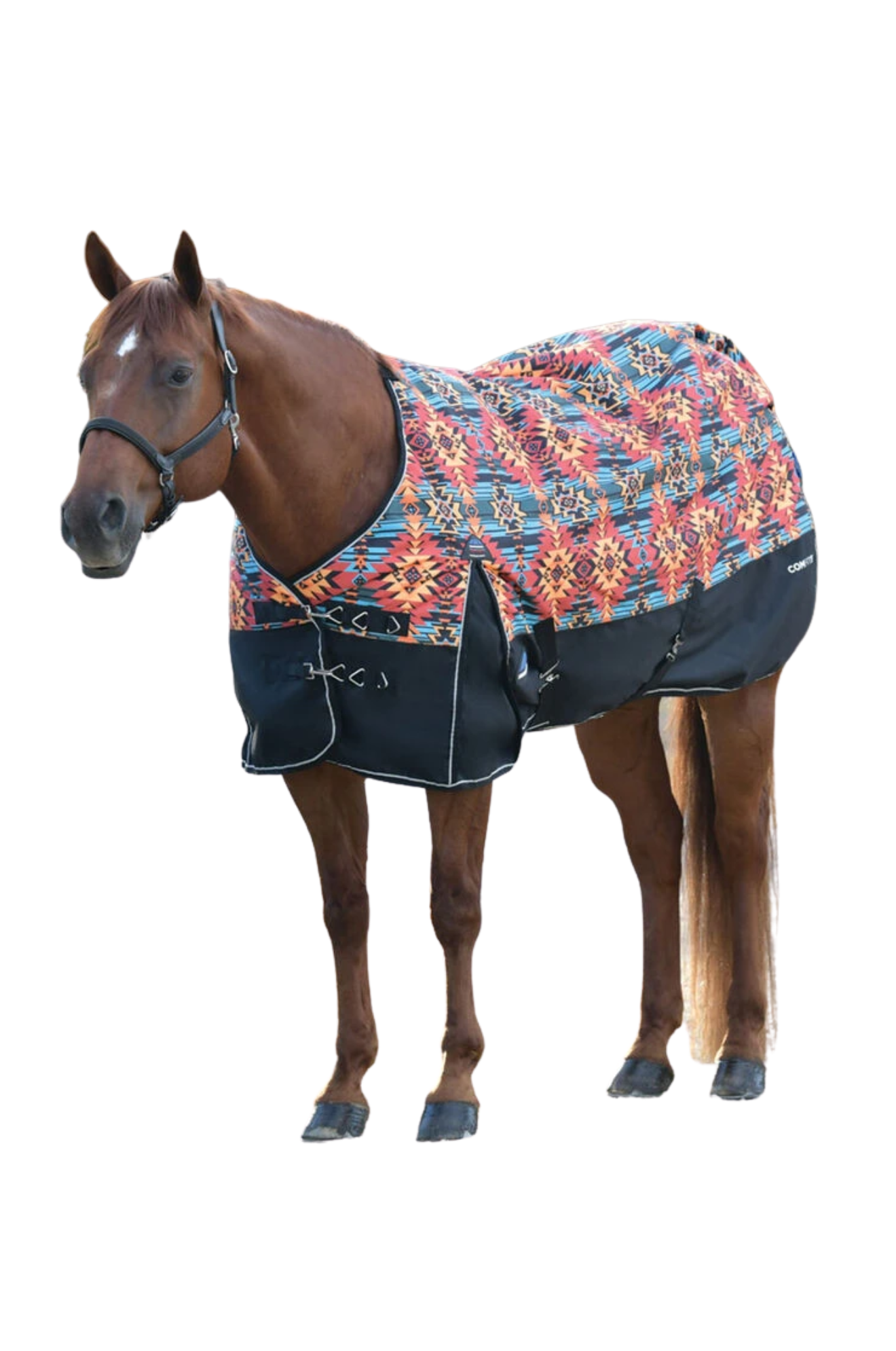 Horse wearing a colorful floral-patterned rug on a white background