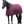 Horse wearing a purple blanket on a white background