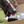 Person holding a box with a horse sniffing the contents outdoors