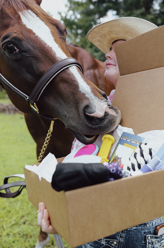 Person holding a box with a horse sniffing the contents outdoors