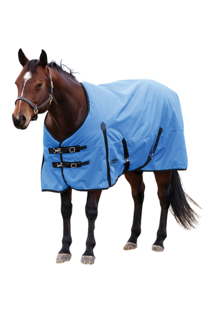 Horse wearing a blue rug on a white background