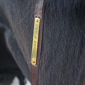 A series of rectangular brass plates in various sizes with engraved text.